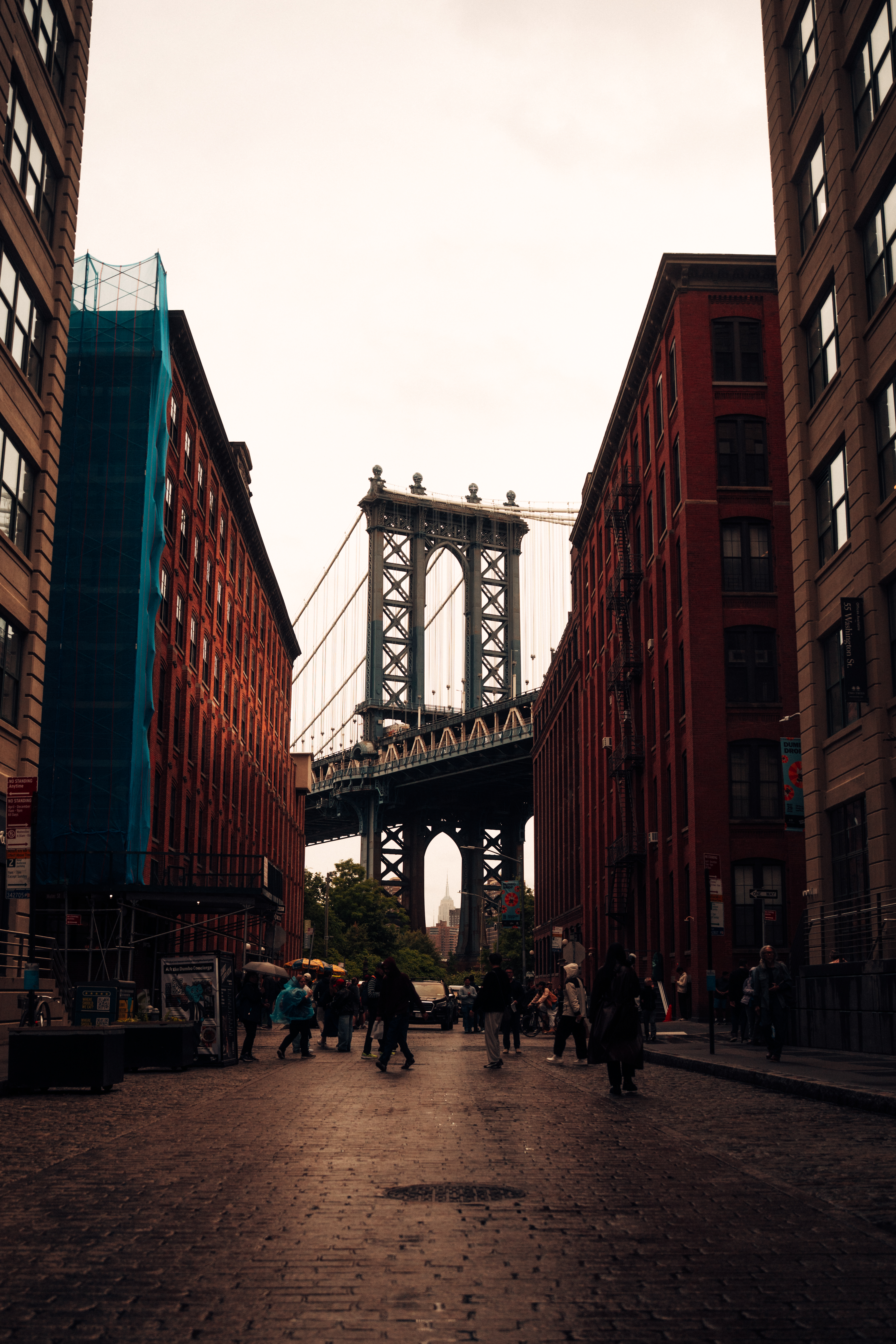 Brooklyn portrait