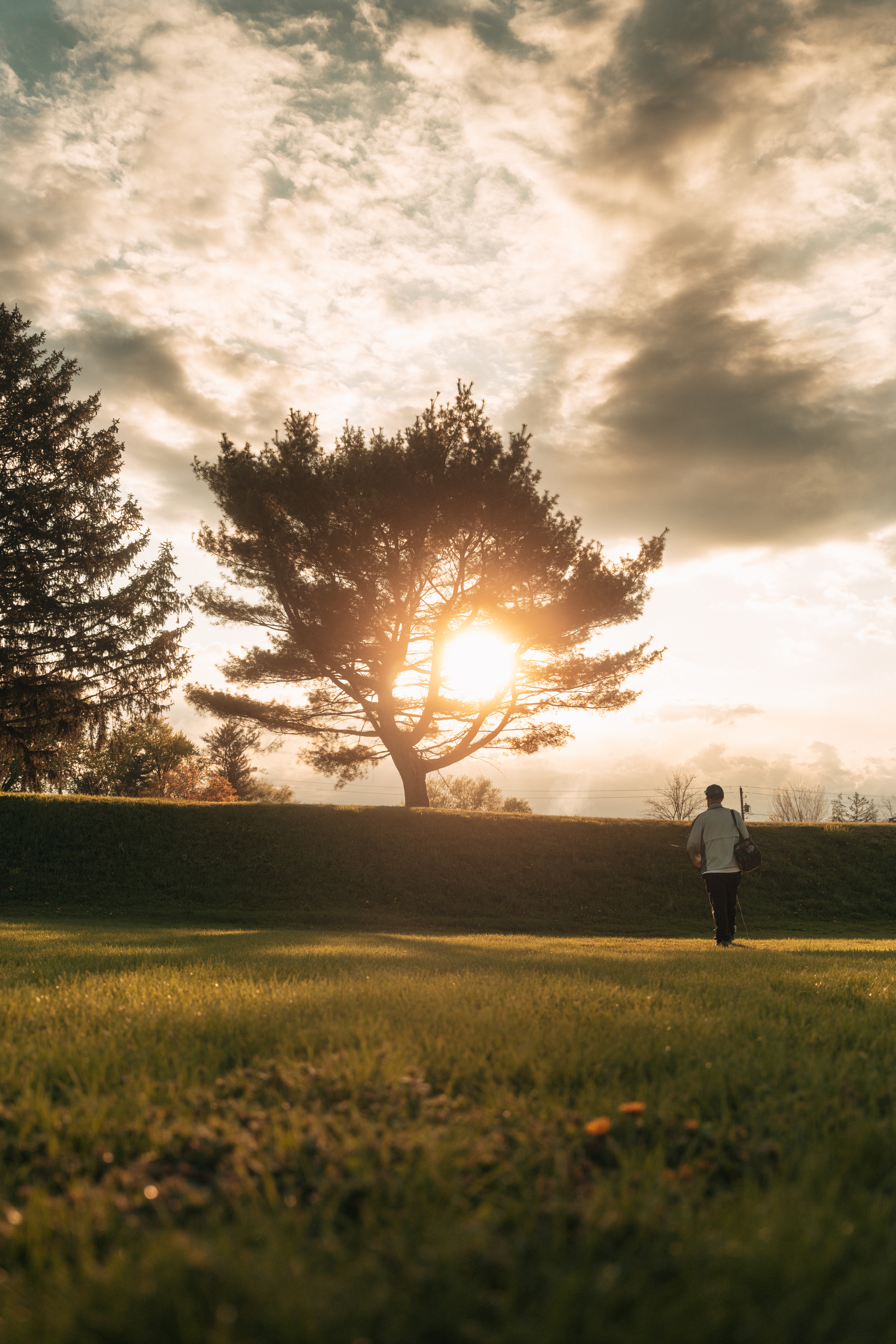 Golden hour silhouette